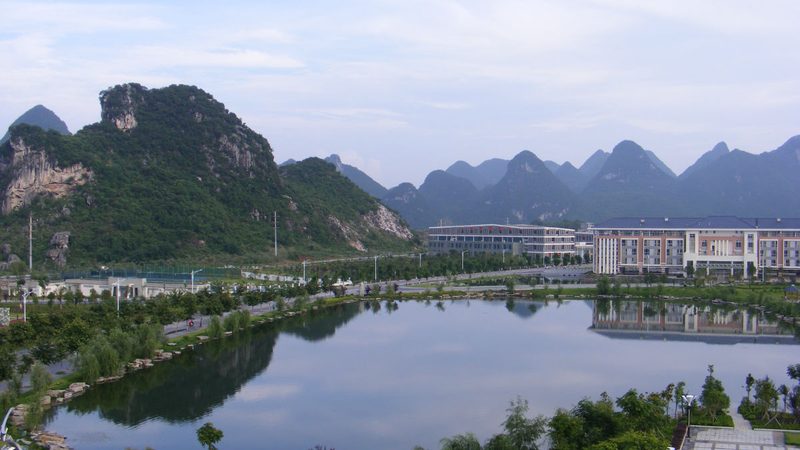 继电器：揭秘其核心参数与选购要点**
