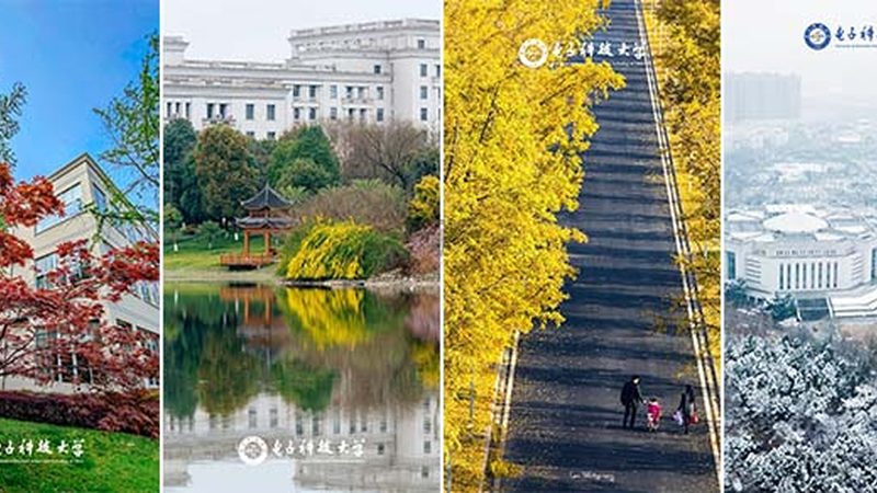 广州电子模块选购：关键参数与认证解析**
