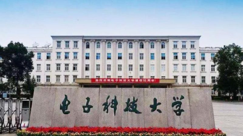 国产二极管批发市场：如何洞察趋势与选品**